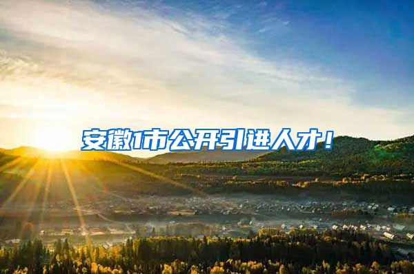 安徽1市公开引进人才！