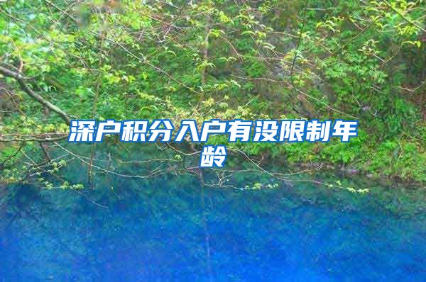 深户积分入户有没限制年龄