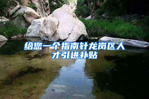 给您一个指南针龙岗区人才引进补贴