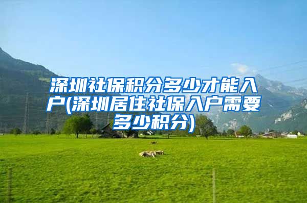 深圳社保积分多少才能入户(深圳居住社保入户需要多少积分)