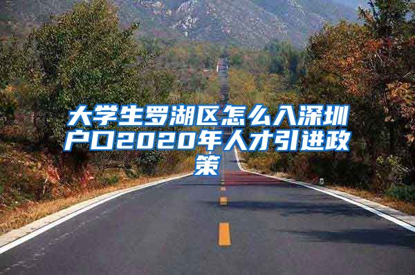 大学生罗湖区怎么入深圳户口2020年人才引进政策