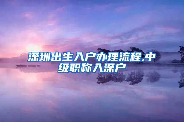 深圳出生入户办理流程,中级职称入深户