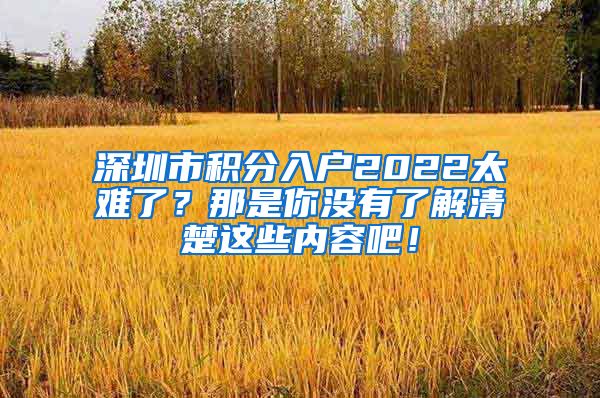 深圳市积分入户2022太难了？那是你没有了解清楚这些内容吧！