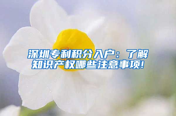 深圳专利积分入户：了解知识产权哪些注意事项!
