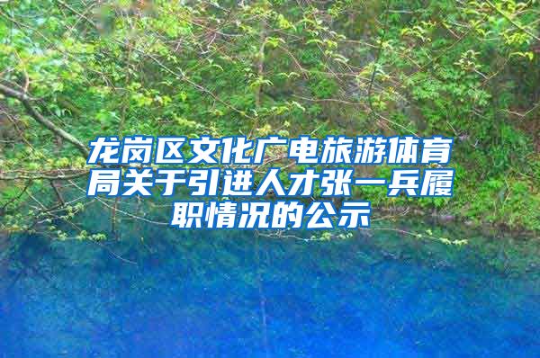 龙岗区文化广电旅游体育局关于引进人才张一兵履职情况的公示