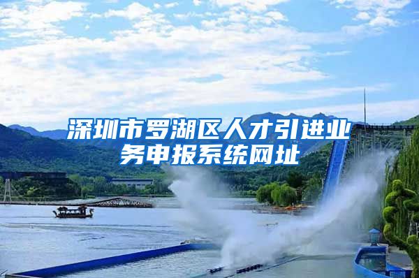 深圳市罗湖区人才引进业务申报系统网址