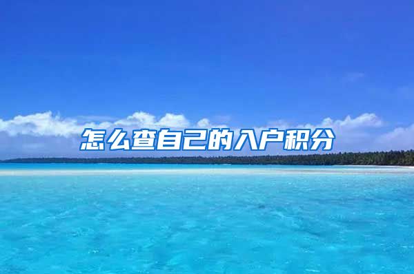 怎么查自己的入户积分