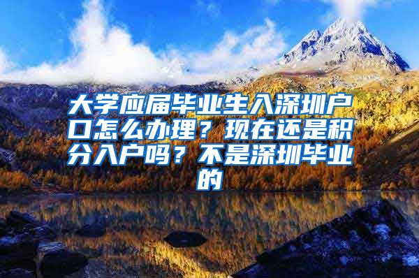 大学应届毕业生入深圳户口怎么办理？现在还是积分入户吗？不是深圳毕业的