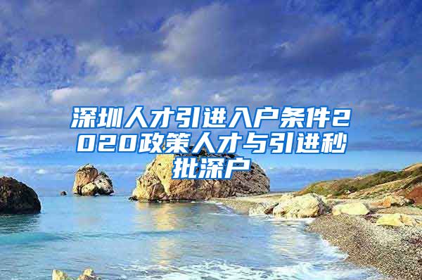 深圳人才引进入户条件2020政策人才与引进秒批深户
