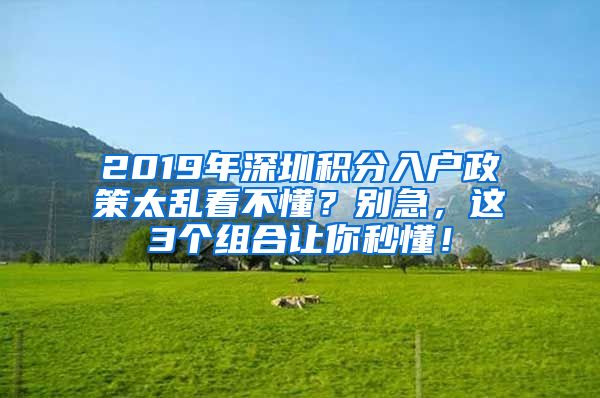2019年深圳积分入户政策太乱看不懂？别急，这3个组合让你秒懂！