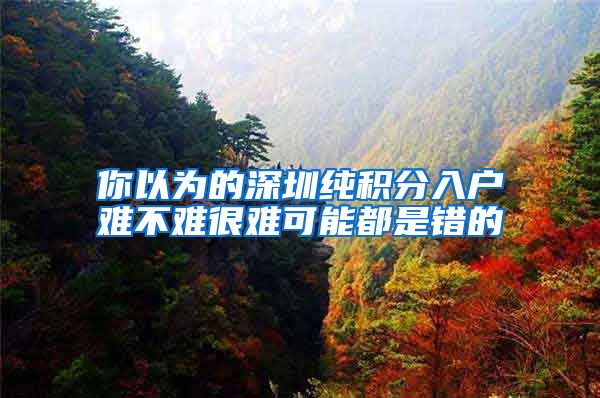 你以为的深圳纯积分入户难不难很难可能都是错的