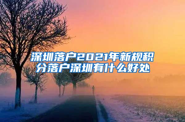 深圳落户2021年新规积分落户深圳有什么好处