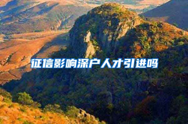 征信影响深户人才引进吗