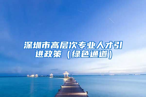 深圳市高层次专业人才引进政策（绿色通道）