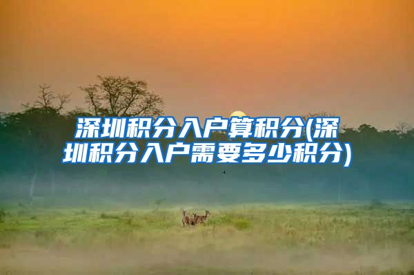 深圳积分入户算积分(深圳积分入户需要多少积分)