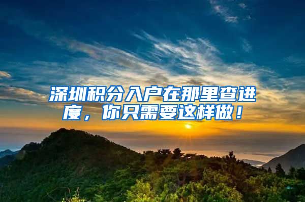 深圳积分入户在那里查进度，你只需要这样做！
