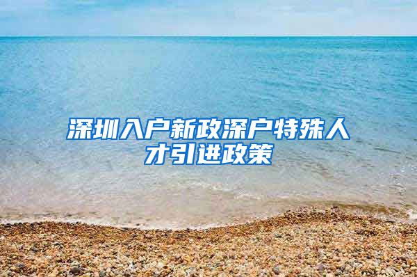深圳入户新政深户特殊人才引进政策