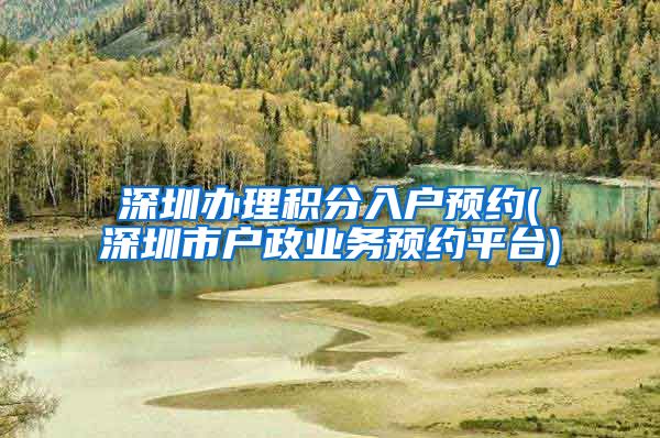 深圳办理积分入户预约(深圳市户政业务预约平台)