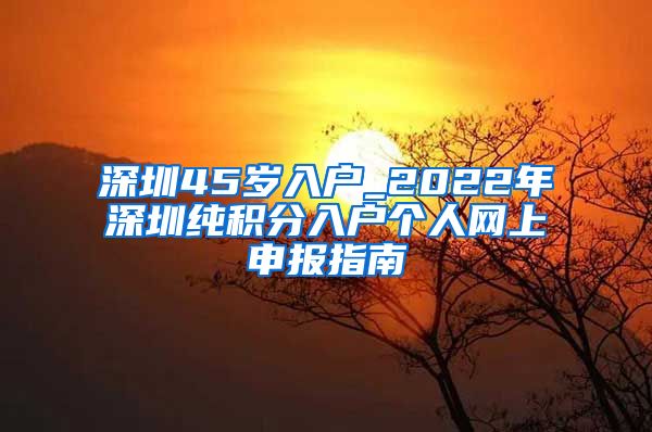 深圳45岁入户_2022年深圳纯积分入户个人网上申报指南