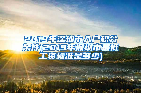 2019年深圳市入户积分条件(2019年深圳市最低工资标准是多少)