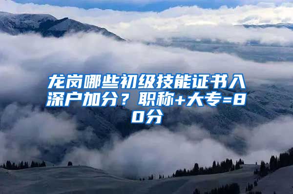 龙岗哪些初级技能证书入深户加分？职称+大专=80分
