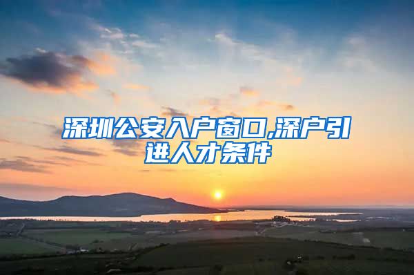 深圳公安入户窗口,深户引进人才条件