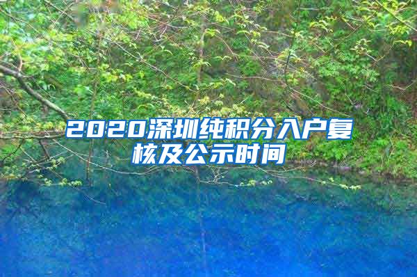 2020深圳纯积分入户复核及公示时间