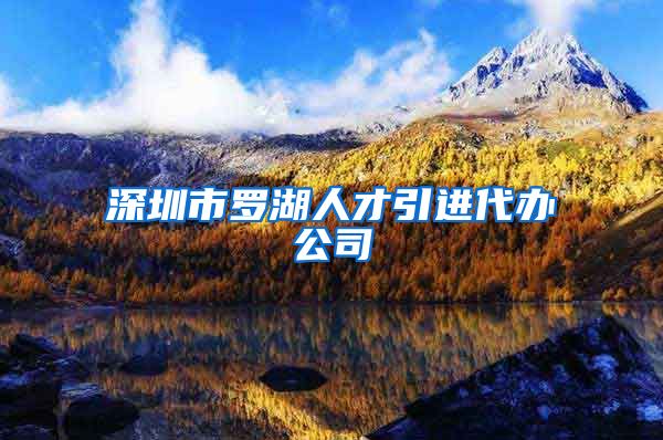 深圳市罗湖人才引进代办公司