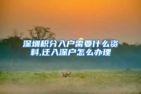 深圳积分入户需要什么资料,迁入深户怎么办理