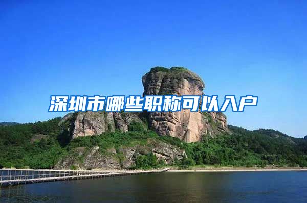 深圳市哪些职称可以入户