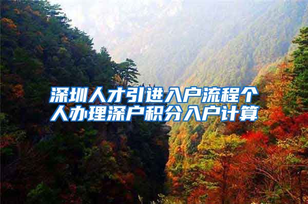 深圳人才引进入户流程个人办理深户积分入户计算
