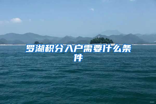 罗湖积分入户需要什么条件