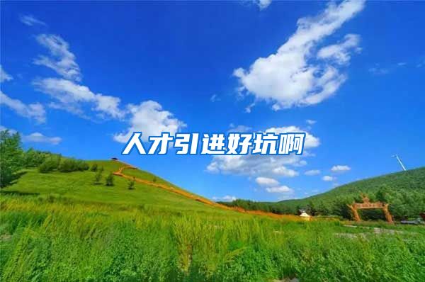 人才引进好坑啊