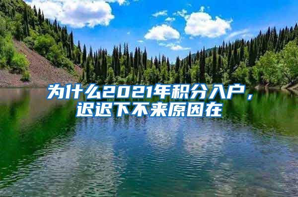 为什么2021年积分入户，迟迟下不来原因在