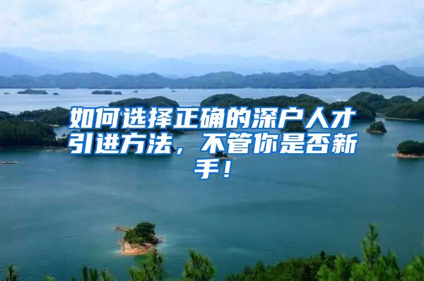 如何选择正确的深户人才引进方法，不管你是否新手！