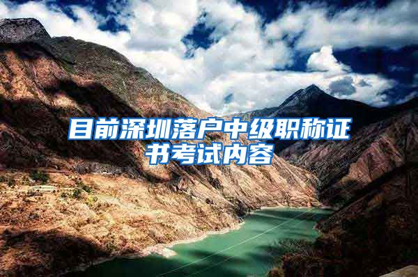 目前深圳落户中级职称证书考试内容