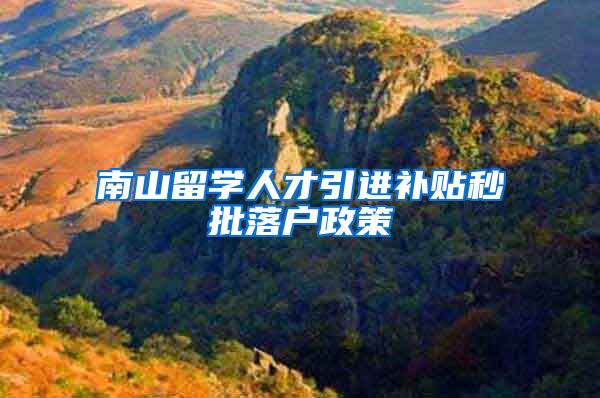 南山留学人才引进补贴秒批落户政策