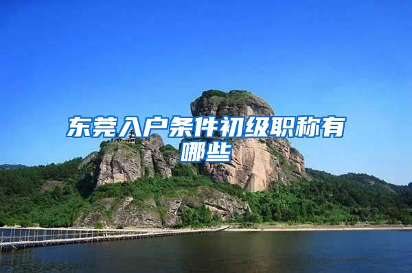 东莞入户条件初级职称有哪些