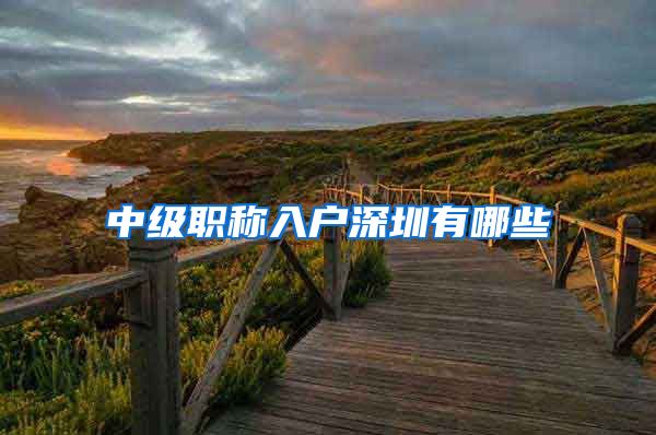 中级职称入户深圳有哪些