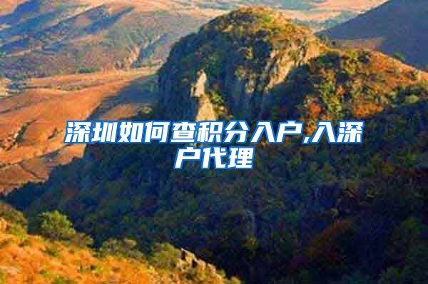 深圳如何查积分入户,入深户代理