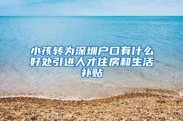 小孩转为深圳户口有什么好处引进人才住房和生活补贴