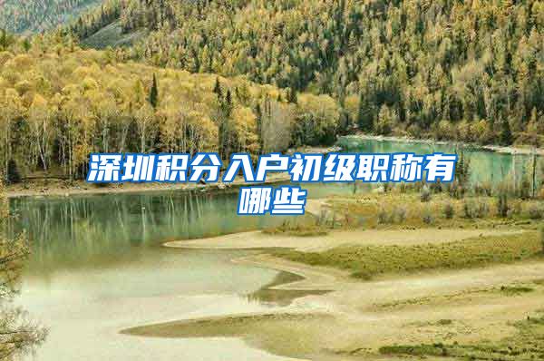 深圳积分入户初级职称有哪些