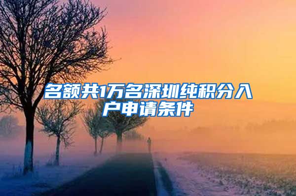 名额共1万名深圳纯积分入户申请条件