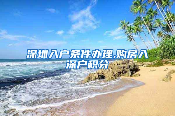 深圳入户条件办理,购房入深户积分
