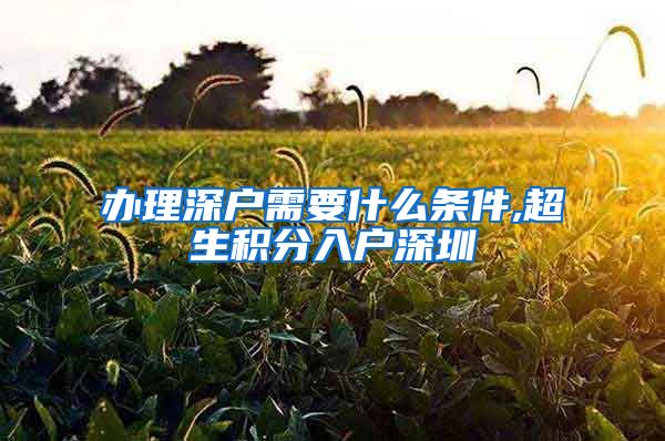 办理深户需要什么条件,超生积分入户深圳