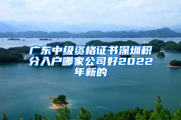 广东中级资格证书深圳积分入户哪家公司好2022年新的