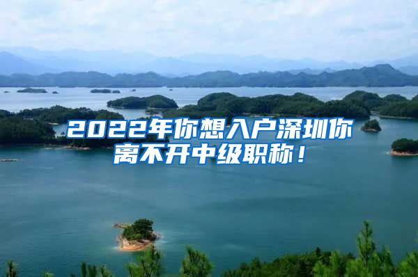 2022年你想入户深圳你离不开中级职称！