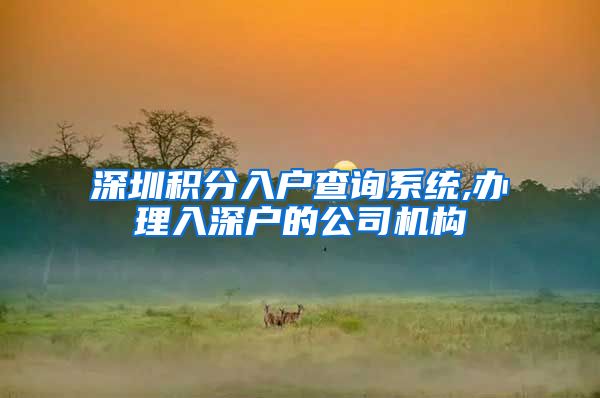 深圳积分入户查询系统,办理入深户的公司机构