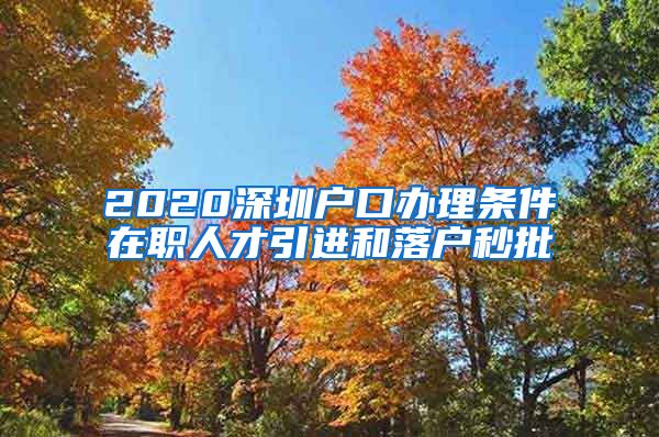 2020深圳户口办理条件在职人才引进和落户秒批