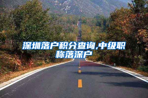 深圳落户积分查询,中级职称落深户